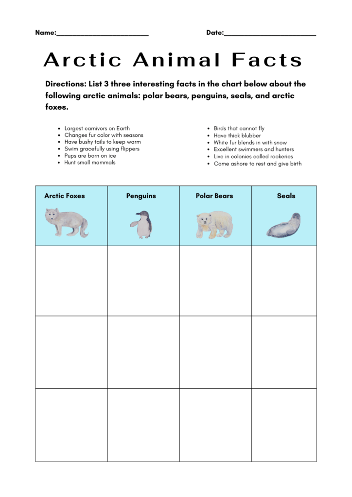 arctic creatures worksheet