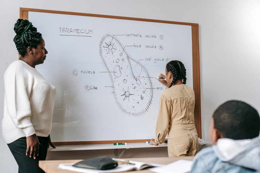 How Constructive Feedback Improves Student Learning 4 constructive feedback and student presentations