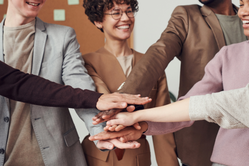 new teacher development videos